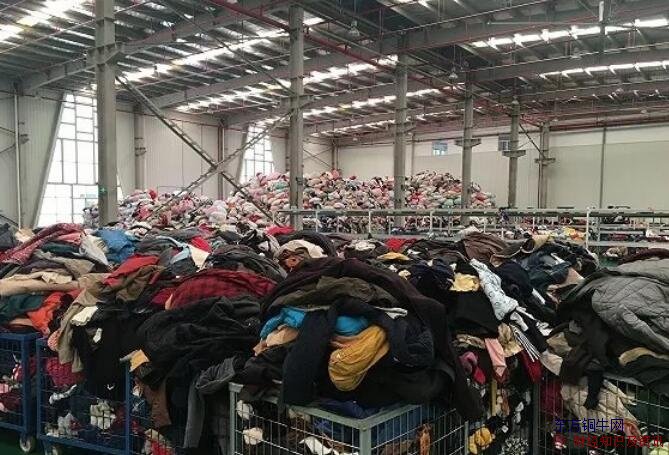 回收旧衣服一年赚200万