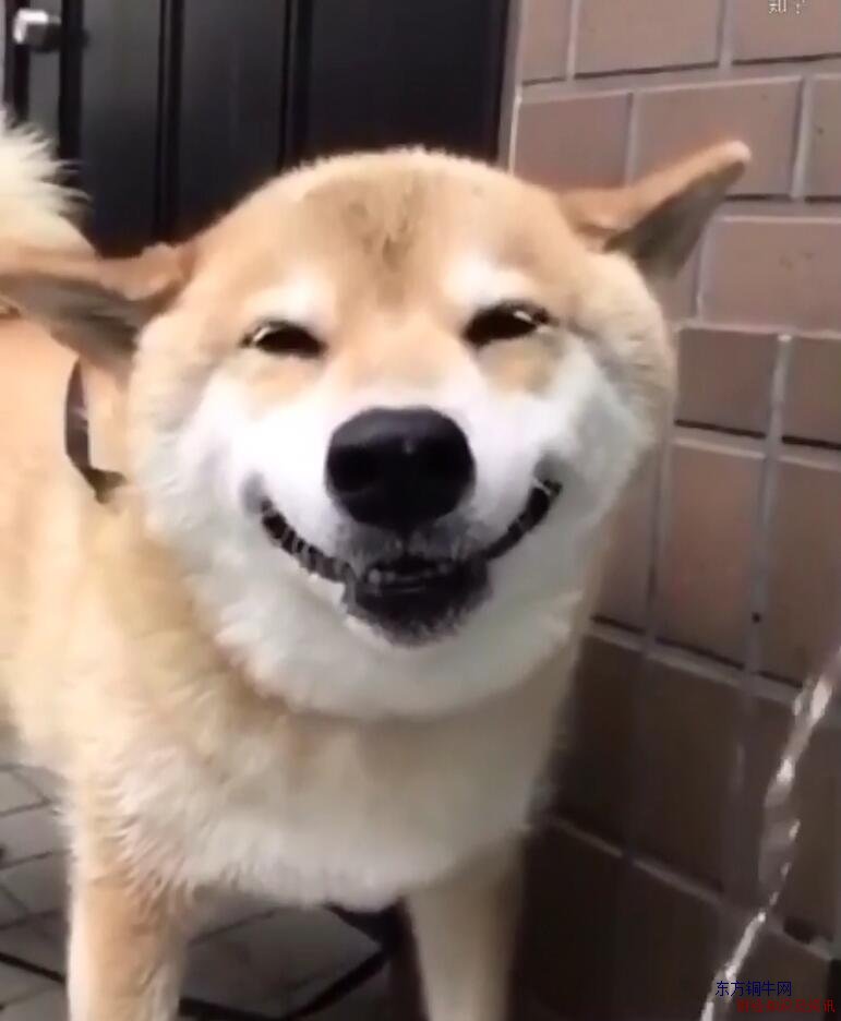 ΢Ц