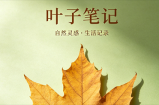 2021年1月11日，叶子笔记正式上线！