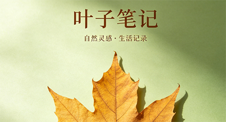 叶子笔记 叶子笔记